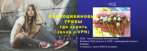 гашик Балабаново