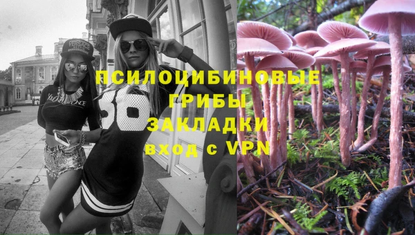 гашик Балабаново
