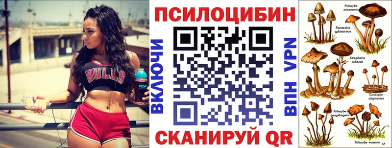 купить наркотик Ясный Галлюциногенные грибы ЛСД